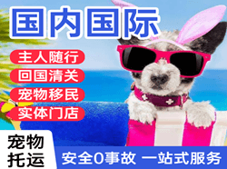 瑷珲国际宠物托运 【国